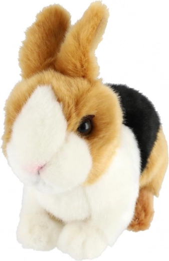 Kerge ja ideaalne väikesele käele