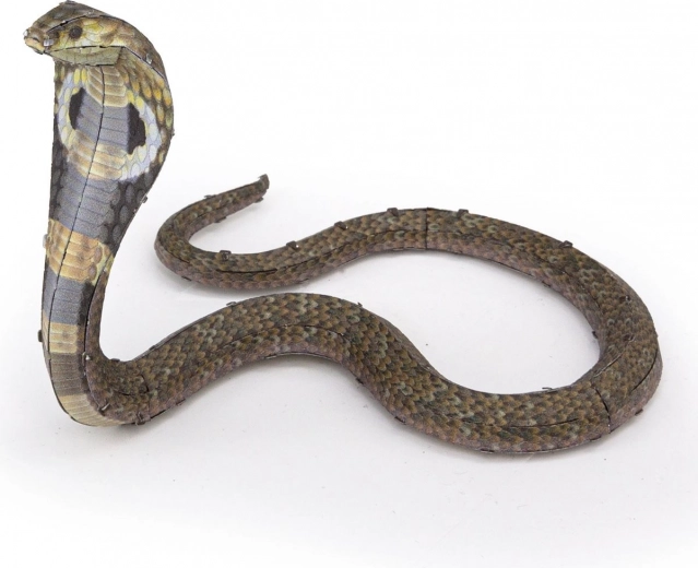 Flexible, striking cobra pose