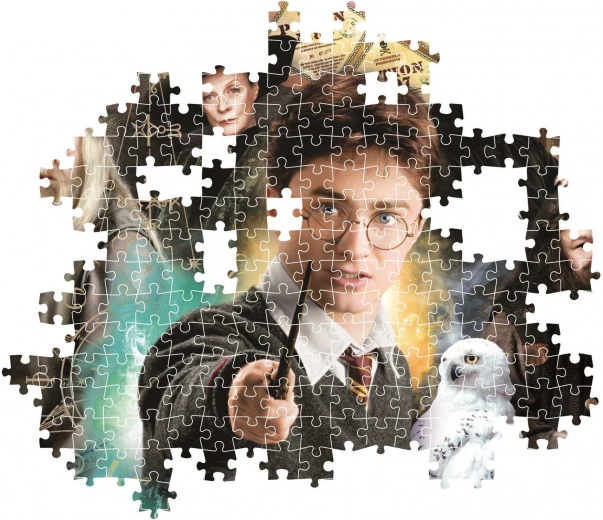 Maagiline HARRY POTTERi motiiv