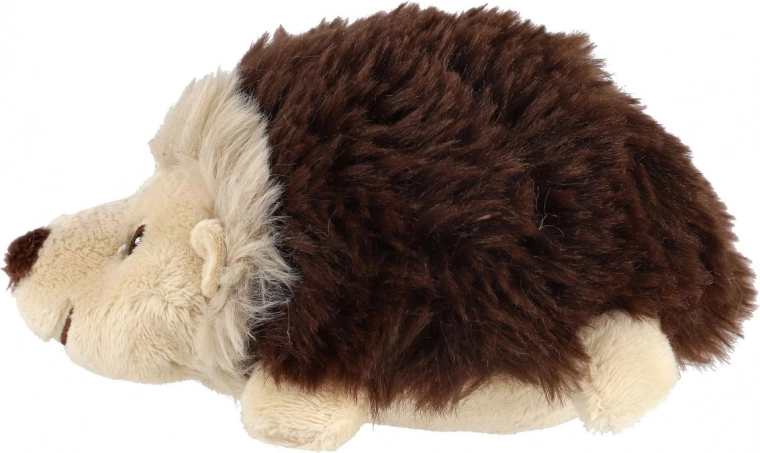 Kompaktne suurus 10 × 15 cm