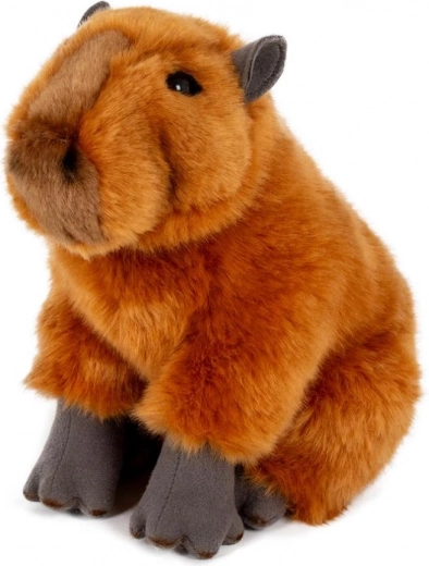 Siidine ja kallistatav igaks päevaks