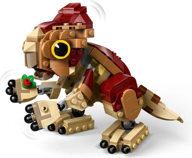 Kokkupandav taim ja detailsus