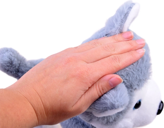 Reaktsioon puudutusele ja rõõmus haukumine