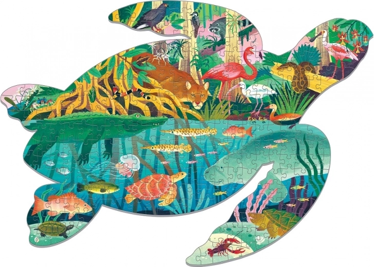 Ikoniline kilpkonna kuju ja elavad märgalade illustratsioonid