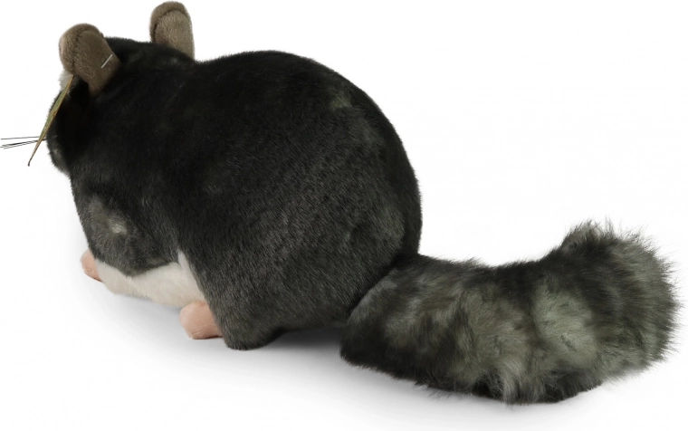 Sobilik alates sünnist