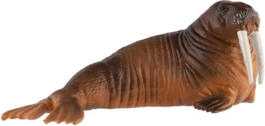 Mitmekülgne kasutus