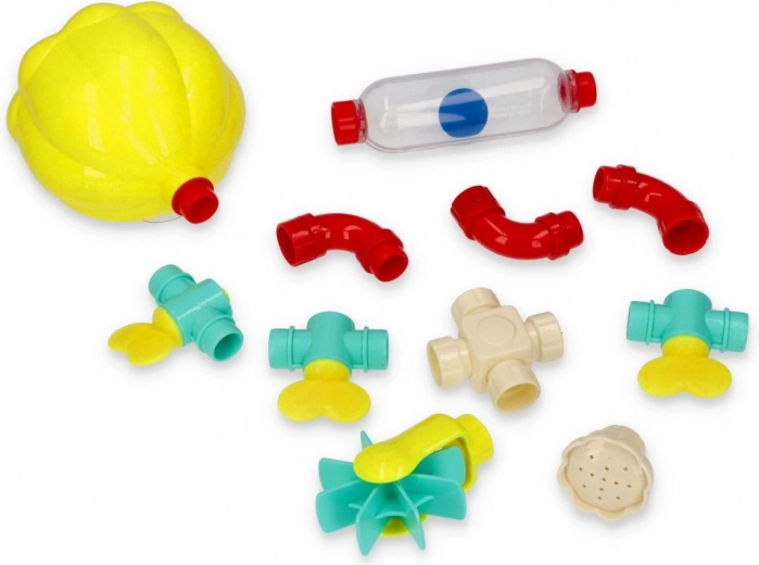 Ehitus ja varieeruvus