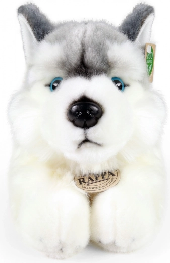 Husky realistlik teostus