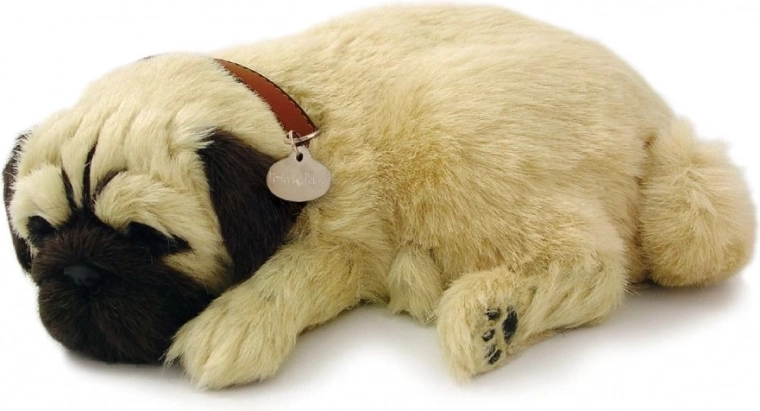 Tõetruu mopsi kujundus