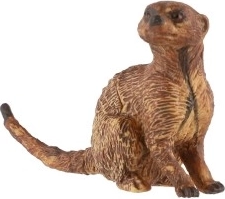 Dekoratsioon ja kollektsiooni ese