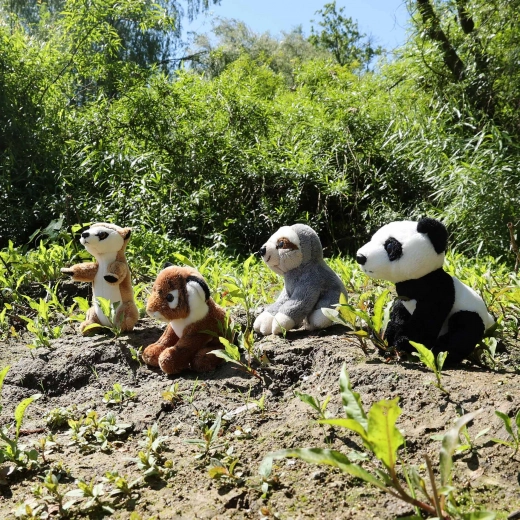 Lemmikloomade kollektsioon