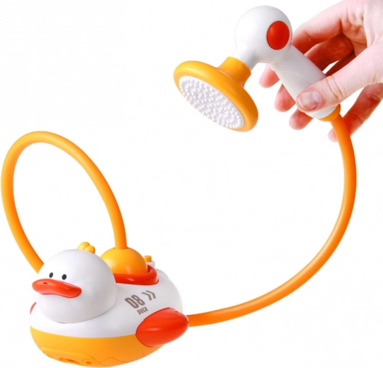 Handheld shower with interchangeable heads