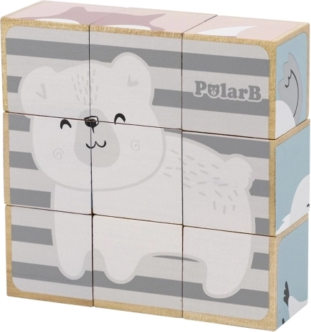 6 pilti ühes komplektis