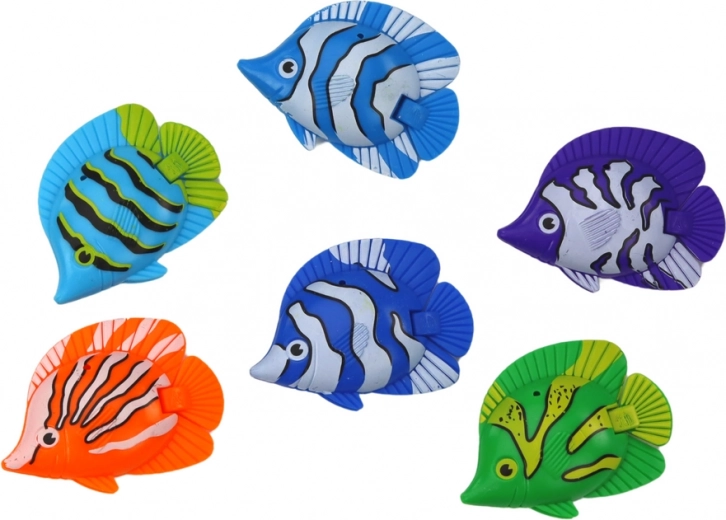 Fun catching of 6 colorful fish