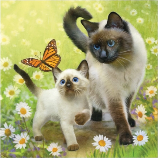 Kitten family with delicate details