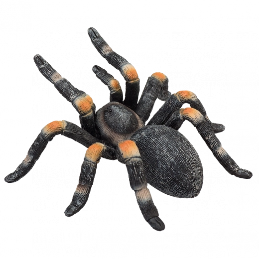 Tõetruud detailid ja realistlik tekstuur