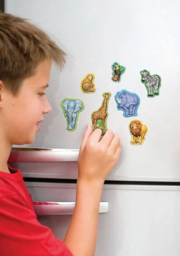 Fridge magnets for everyday joy