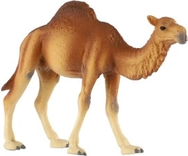 Kõrbelise hiiglase realistlikud detailid