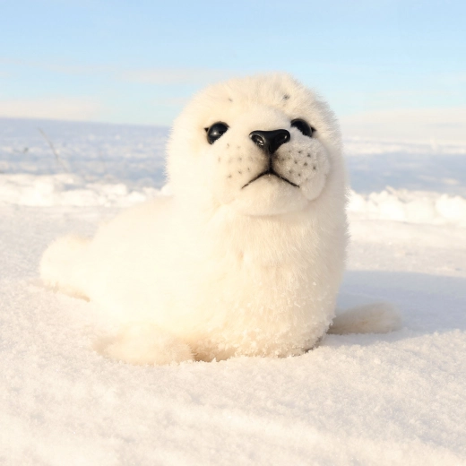 Valmis kaisutamiseks kodus ja teel