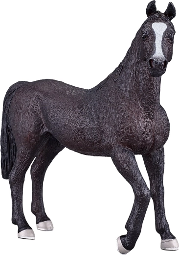 Realistic details and authentic coloring