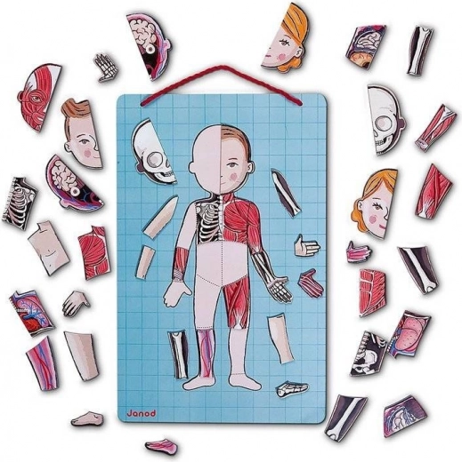 Magnetic hanging board