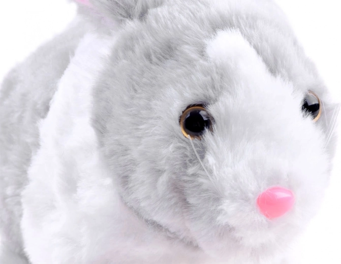 Pehme ja kaisulik plüüs