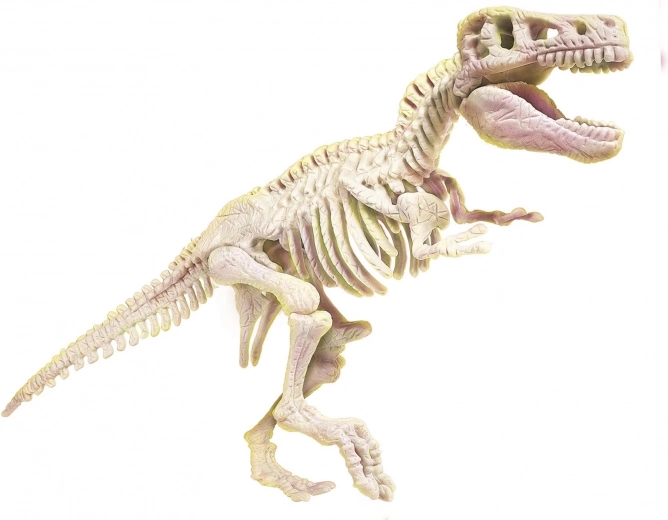 T‑Rexi helendav luustik