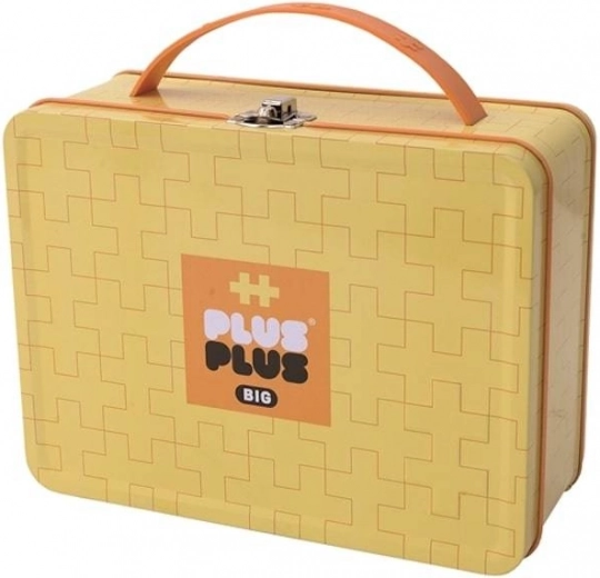 Metal carry case for travel and home