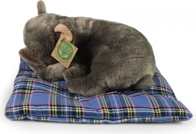 Comfortable and Soft