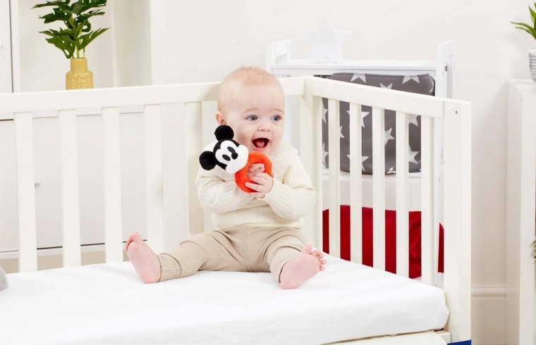 Lemmiktegelane MICKEY MOUSE