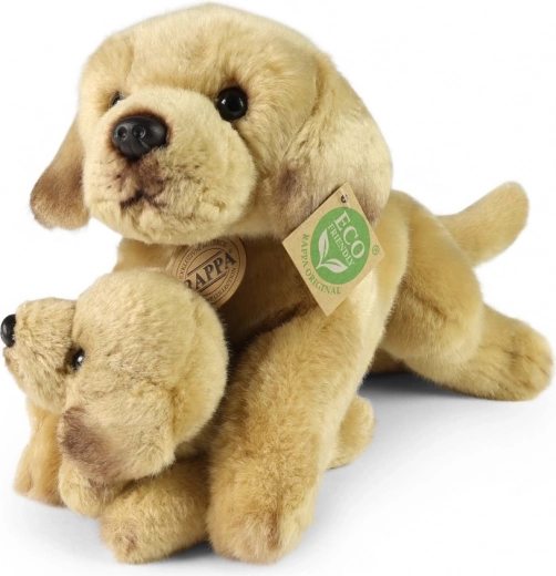 Ohutu alates sünnist (0+)