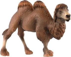 Kaksikküürilise kaamakara realistlikud detailid