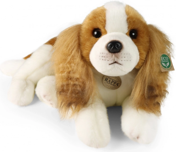 Taaskasutatud materjal