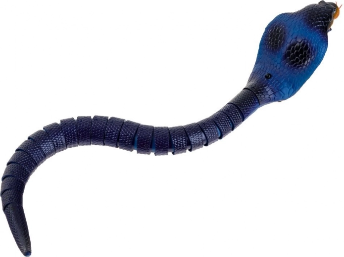 Realistlik liikumine ja välimus