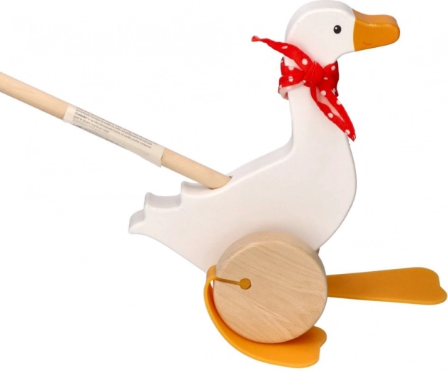 Toetab esimesi samme ja koordinatsiooni