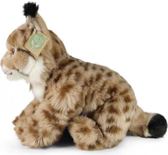 Turvaline alates sünnist