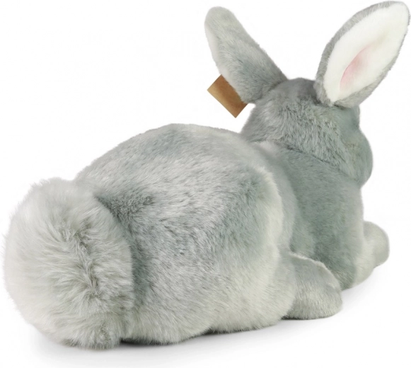 Pehme ja realistlik kaaslane