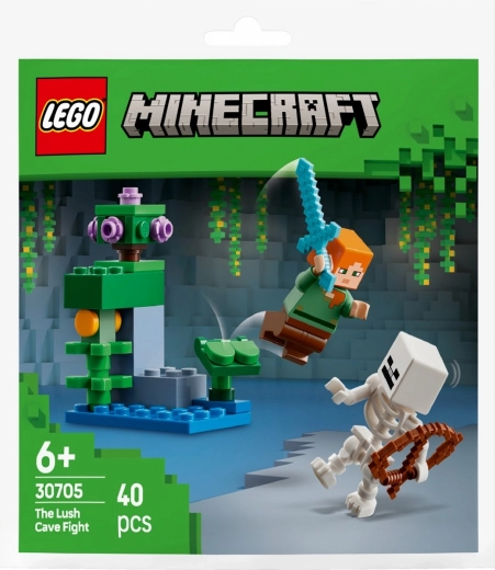 Suurepärane algus LEGO MINECRAFTi maailmas