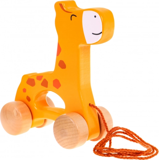 Supports motor skills development