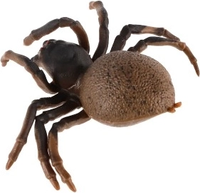 Kompaktne suurus 10 cm