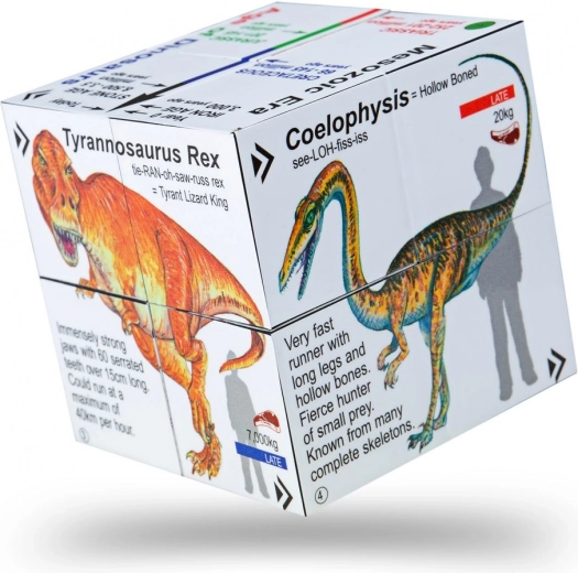 Loov õppimine