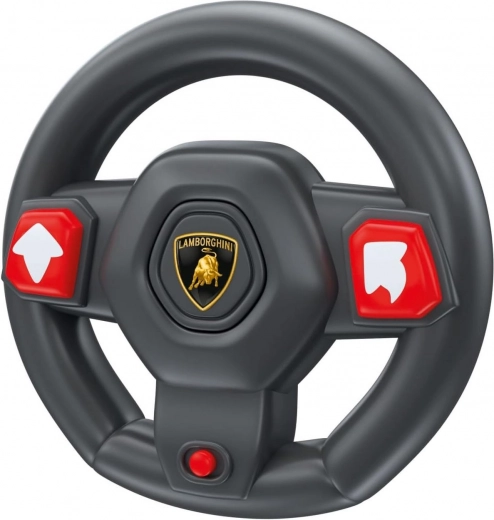 Interaktiivne kaugjuhtimine