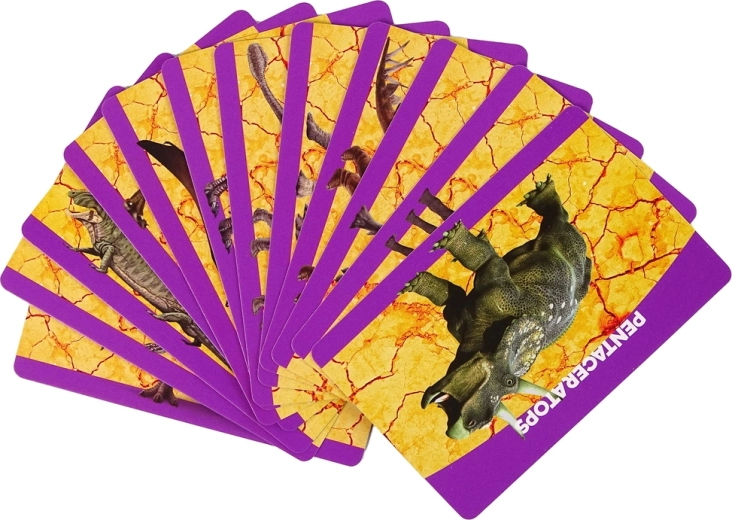 Educational Cards