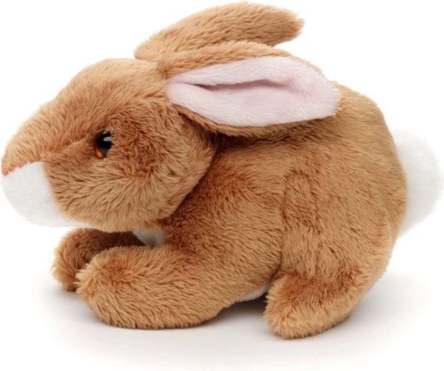 Täiuslik suurus väikestele kätele