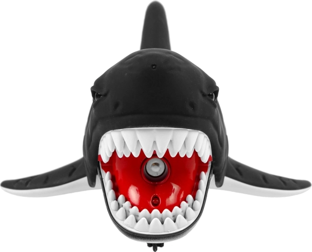 Veepihusti suuremaks lõbuks