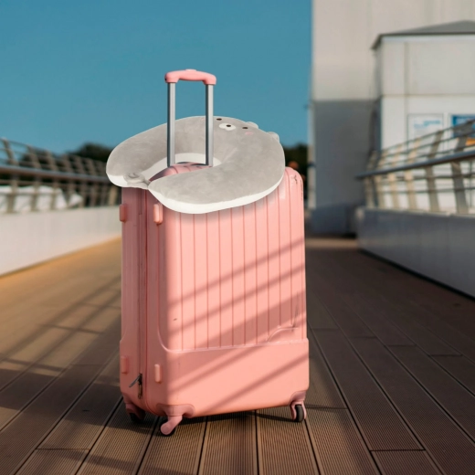 Kompaktne ja praktiline