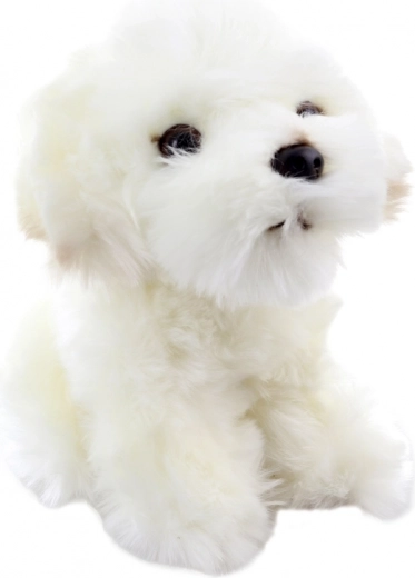 Realistlikud detailid armsal kutsikal