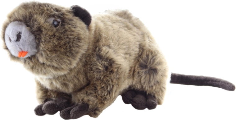 Keskkonnasõbralikud materjalid