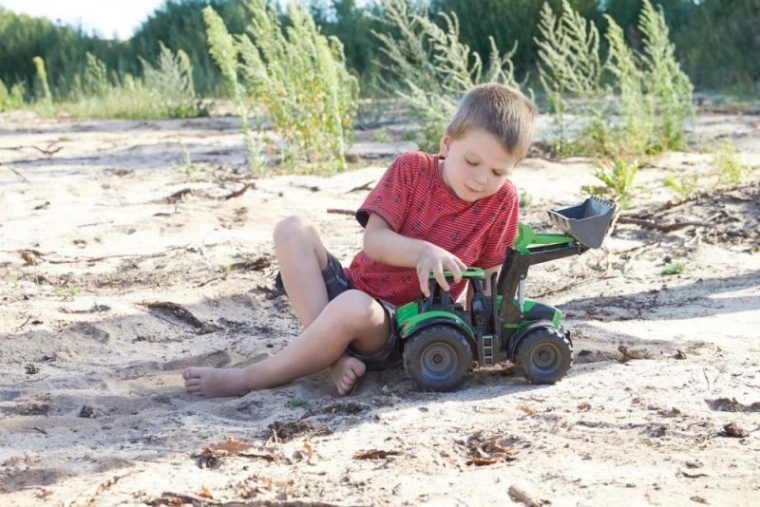 Vastupidav kaaslane liivakasti ja aeda