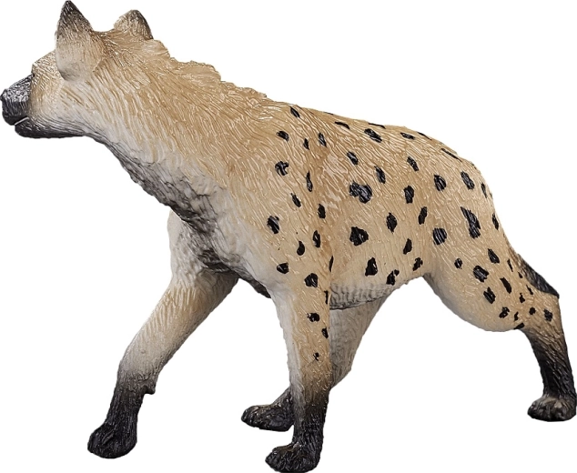 Mitmekülgne kasutus